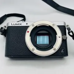 極美品/希少】Panasonic LUMIX GM1 ボディ ブラウン - メルカリ