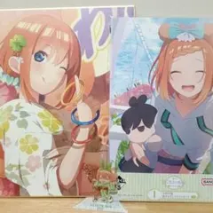 五等分の花嫁 中野四葉　イラストボード＆アクリルスタンド