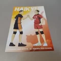 ハイキュー!!　ー アニメイト購入特典　ポストカード　田中龍之介＆山本猛虎 ー