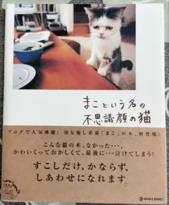 Item thumbnail for item 82710d71-978d-43bc-a20a-3e7a311a7ff6