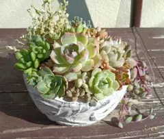 ❤️多肉植物そのまま飾れる❤️アンティーク透かし柄鉢❤️ - メルカリ
