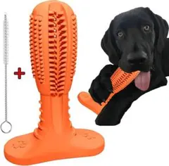 Item thumbnail for item e9220462-6c54-418b-8eb5-60f26e45260c