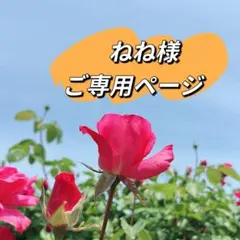 ねね様のご専用ページ　オイスターパールスルネックレス　スライドピン式ネックレス