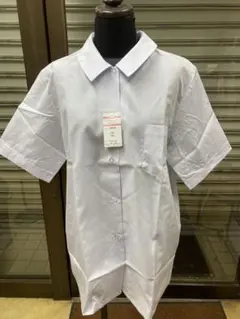 Item thumbnail for item 00f6ef87-3b9b-4c1a-98ad-c99111dd04fc