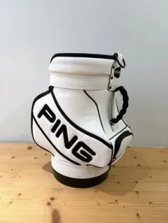 【SALE】PING ピン　デンキャディ　白×黒　インテリア　希少のサムネイル