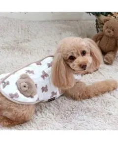 Item thumbnail for item 325ecad1-9e85-4801-b2d3-b3234ab33b2a