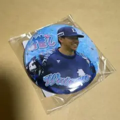 埼玉西武ライオンズ　推しガチャ　vol3 缶バッジ　高松渡