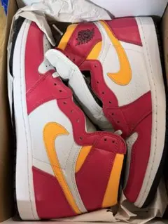 NIKE AIR JORDAN 1 RETRO HIGH OG 29cm