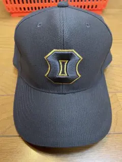 Item thumbnail for item 04f20bd5-6e85-4b23-af24-3bcaf975c4bf