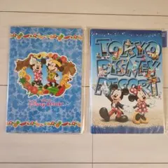 ディズニーリゾート　ノート２冊セット　新品　未開封　お買い得