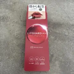 LIPGUARDIAN リップガーディアン 口紅 03 ブラッディムーンのサムネイル