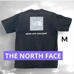 THE NORTH FACE ノースフェイス ブラック Tシャツ M