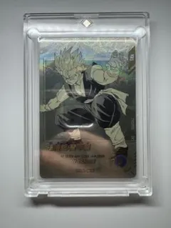 ドラゴンボール スーパーダイバーズ 40th 孫悟飯 パラレル アドバンスパック