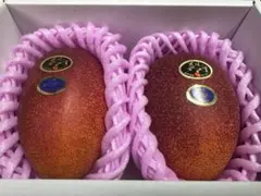 農家直送 宮崎県産 完熟マンゴー 4玉 計1864g - メルカリ