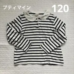 プティマイン　トップス　120 襟付き　ボーダー　長袖　女の子　カットソー