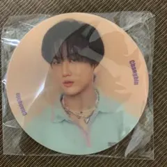 straykids スキズ　チャンビン　