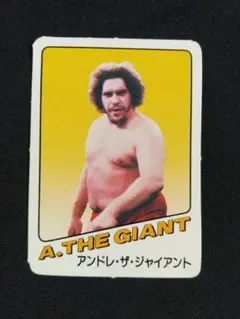 2026年最新】サイン アンドレ・ザ・ジャイアントの人気アイテム - メルカリ