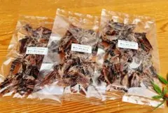 不揃いで訳ありのお徳用素干しほたるいか120g(40g×3袋)国内産海の幸のサムネイル