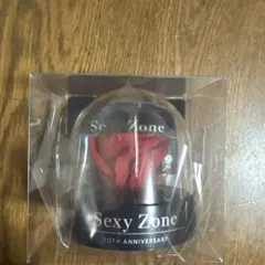 2026年最新】セクゾ10周年記念の人気アイテム - メルカリ