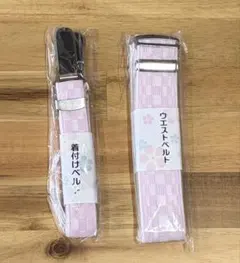 Item thumbnail for item 8c31472b-8edd-4b2b-908d-514e5d964651