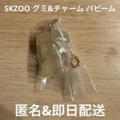 SKZOO グミ&チャーム パピーム