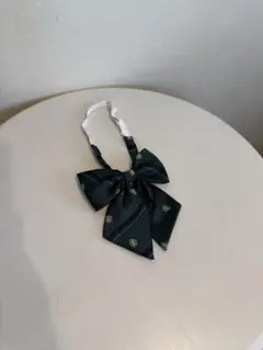 Item thumbnail for item 8310e8d8-0673-4333-970b-527286788f85