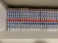 運命の人様 リクエスト 2点 まとめ商品