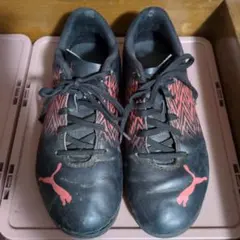 Item thumbnail for item b2beae01-60c1-40a0-8604-557b94b6118b