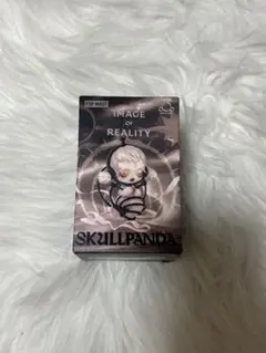 POP MART SKULLPANDA IMAGE OF REALITY 未開封