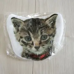 映画「世界から猫が消えたなら」earth コラボポーチ　猫ポーチ