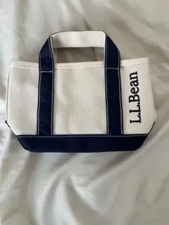 Item thumbnail for item 2e88869c-aa38-495b-a692-e3e065220dc5