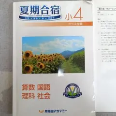 2026年最新】桜蔭 国語の人気アイテム - メルカリ