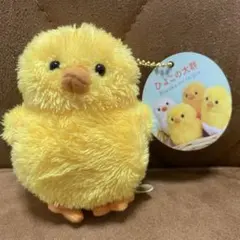 Item thumbnail for item 08897a88-6cd2-4067-9632-ea4f2590518f