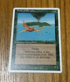 MTG 極楽鳥　4版黒枠　日本語1 値下げ MTG 極楽鳥 4版黒枠 日本語1 値下げ - メルカリ