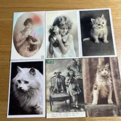 アンチックカードの世界 猫の館 (猫と少女の写真/イラスト集) アンチックカードの世界 猫の館 (猫と少女の写真/イラスト集)