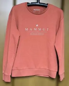 Item thumbnail for item 5dc36462-ad6e-471d-82eb-5b45ad97bb1a