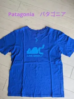 【送料無料】 Patagonia　パタゴニア Tシャツ キッズＬ