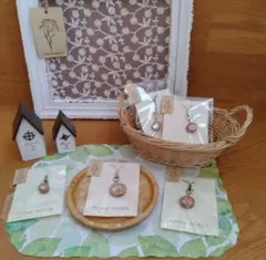 Item thumbnail for item e7c1cfd6-7179-46e6-8efe-0c19374a8b73