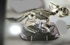 恐竜発掘記6 恐竜全長骨格展示室