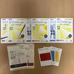 進研ゼミ　大学受験Challenge 暗記・演習セット　⭐️バラ売り可（要相談）
