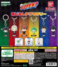 コンプリートセット　家庭教師ヒットマンREBORN! めじるしアクセサリー