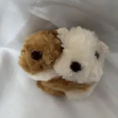 テイクオフ カピバラ ぬいぐるみ 仲良し