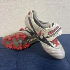 MORELIA TM 26.0cm
