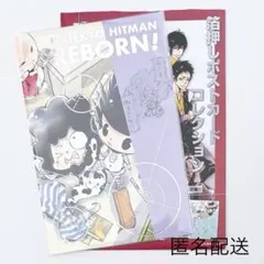 天野明展 家庭教師ヒットマンREBORN! ポストカード ランボ リボーン