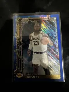 LeBron James NBA トレーディングカード H119