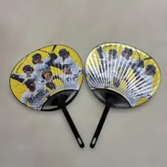 Mizuno 応援うちわ 阪神タイガース　2セット
