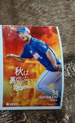 専用ページ