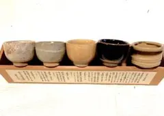 2025年最新】黄瀬戸 ぐい呑の人気アイテム - メルカリ