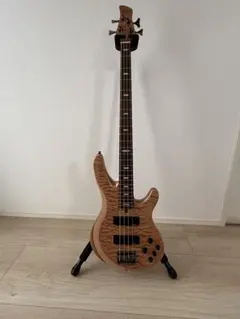 犬ゴット様専用 warwick thumb bass 改造品 一部訳アリ - メルカリ