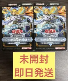 【未開封2個】退魔天使エクソシスター 遊戯王タクティカルトライデッキ
